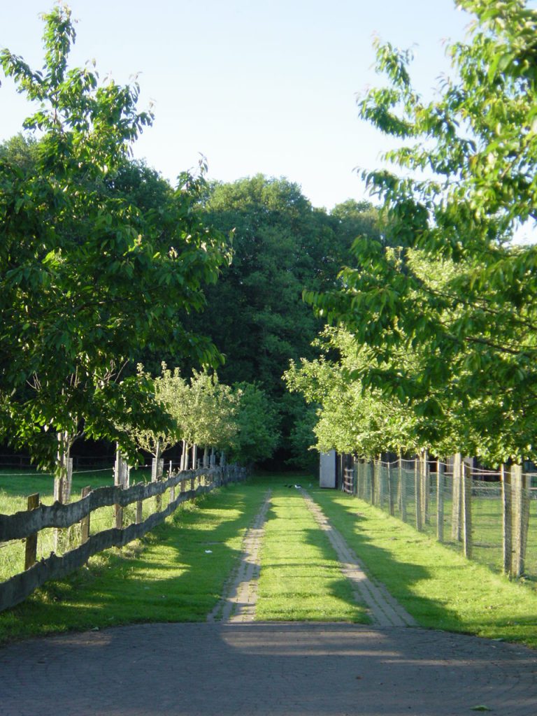 Habichtshof das gastliche Bauernhofcafé das gastliche Bauernhofcafé